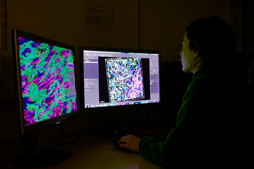 Microscopia_2