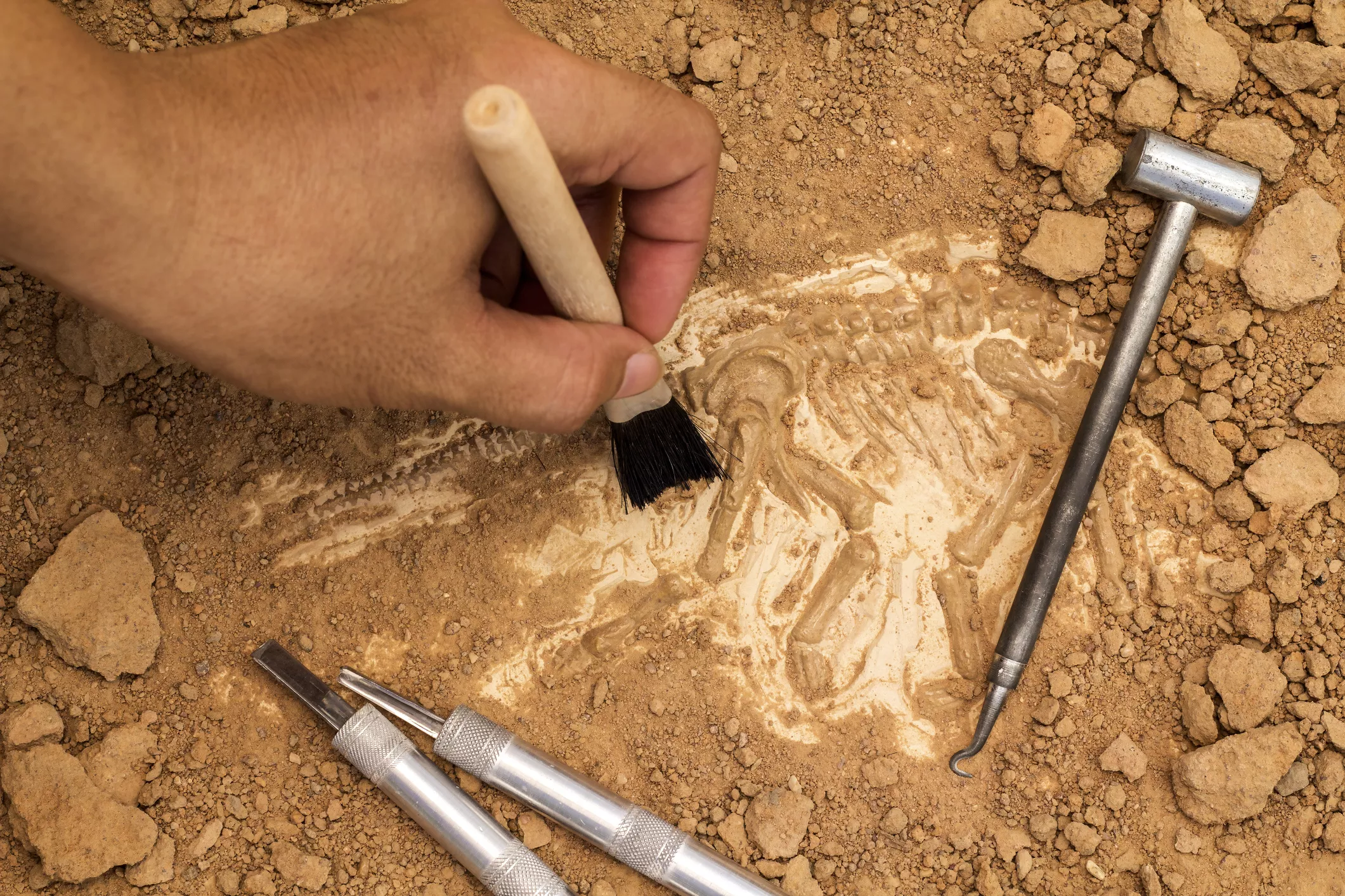 Arqueologia Clàssica Aplicada. Recerca i Transferència