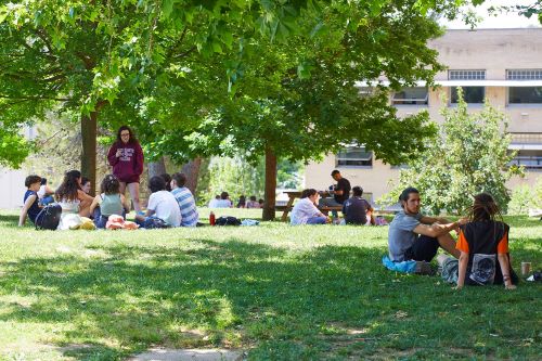 Amplia la imatge Estudiants a la gespa