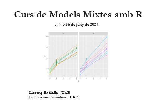 Imatge curs Models Mixtes