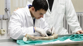 Estudiant disseccionant una peça