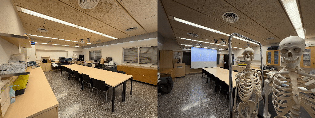 Laboratoris de la Unitat
