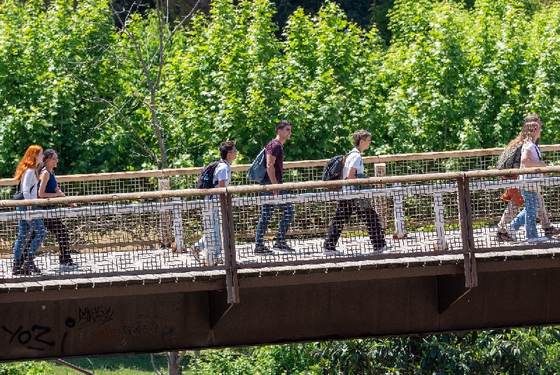 Pont d'accés a la plaça Cívica