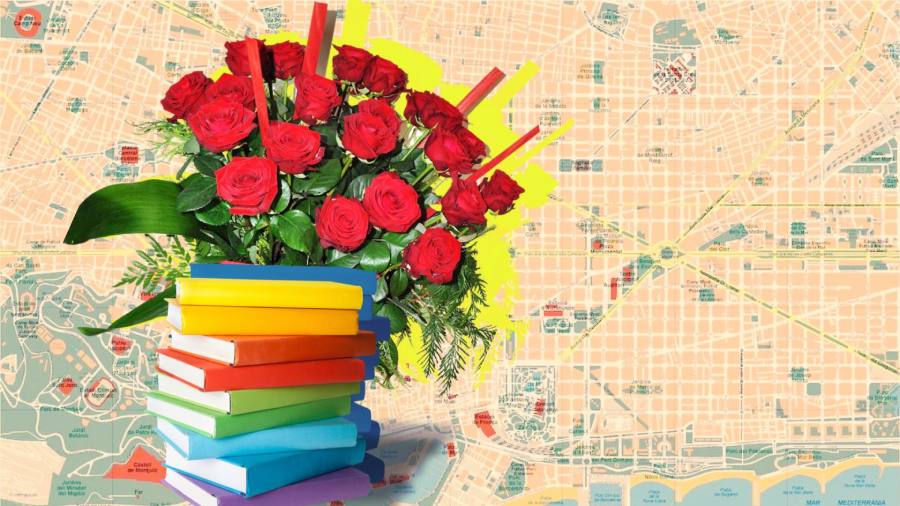 Imatge de recurs amb unes roses i llibres per representar St. Jordi