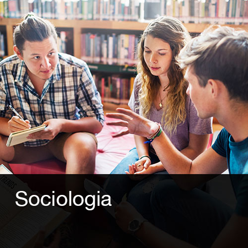 Reprodueix el video Grau de Sociologia