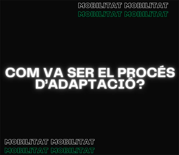 Reprodueix el video Com va ser el procés d'adaptació?