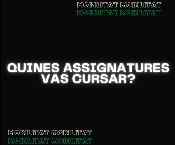 Reprodueix el video Quines assignatures vas cursar?