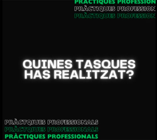 Reprodueix el video Quines tasques has realitzat?