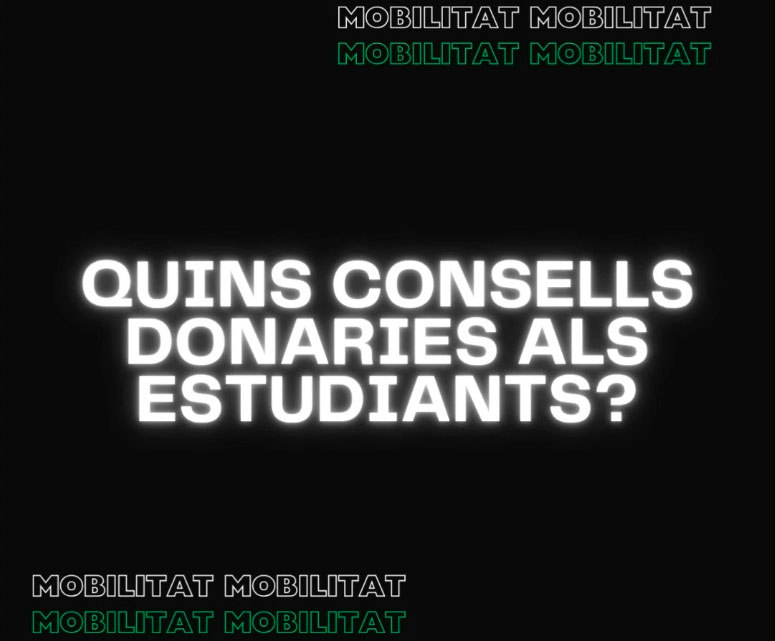 Reprodueix el video Quins consells donaries als estudiants?