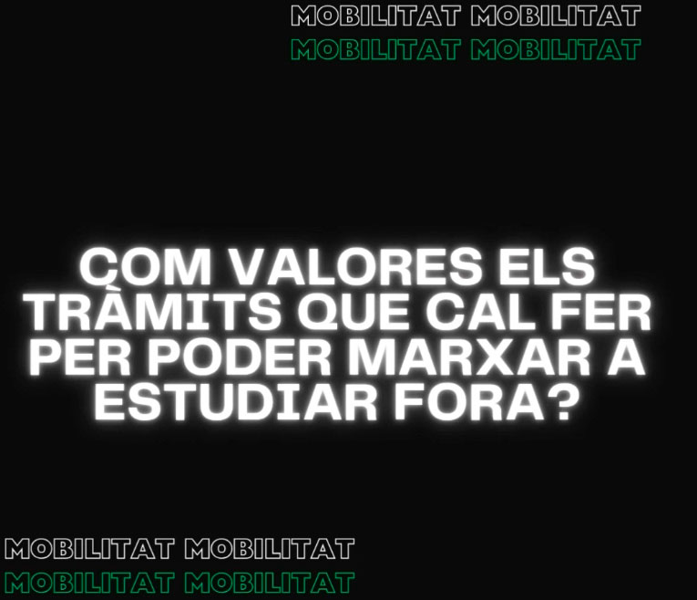 Reprodueix el video Com valores els tràmits que cal fer per poder marxar a estudiar fora?