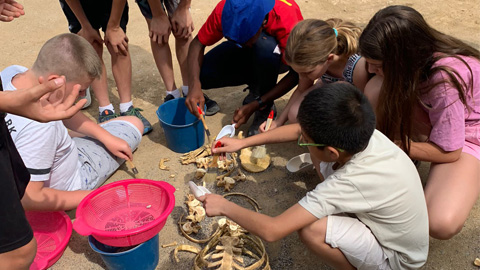 Activitats escolars