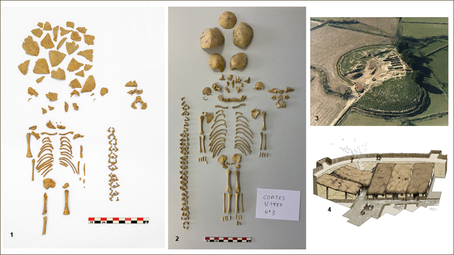 Esquelets infantils amb síndrome de Down; Foto aèria del poblat Alto de la Cruz (Navarra); Reconstrucció del poblat Las Eretas (Navarra)
