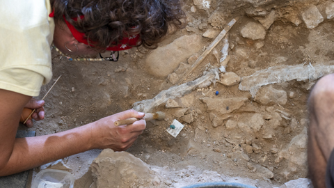 Excavació de Linya, la dona de la Noguera