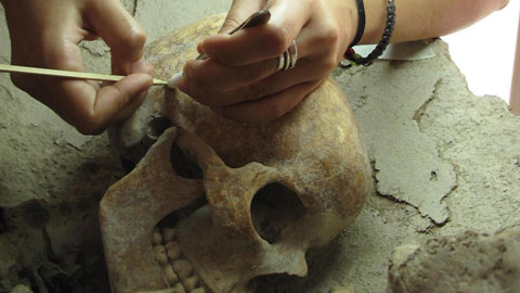 Imatge del màster d'arqueologia prehistórica