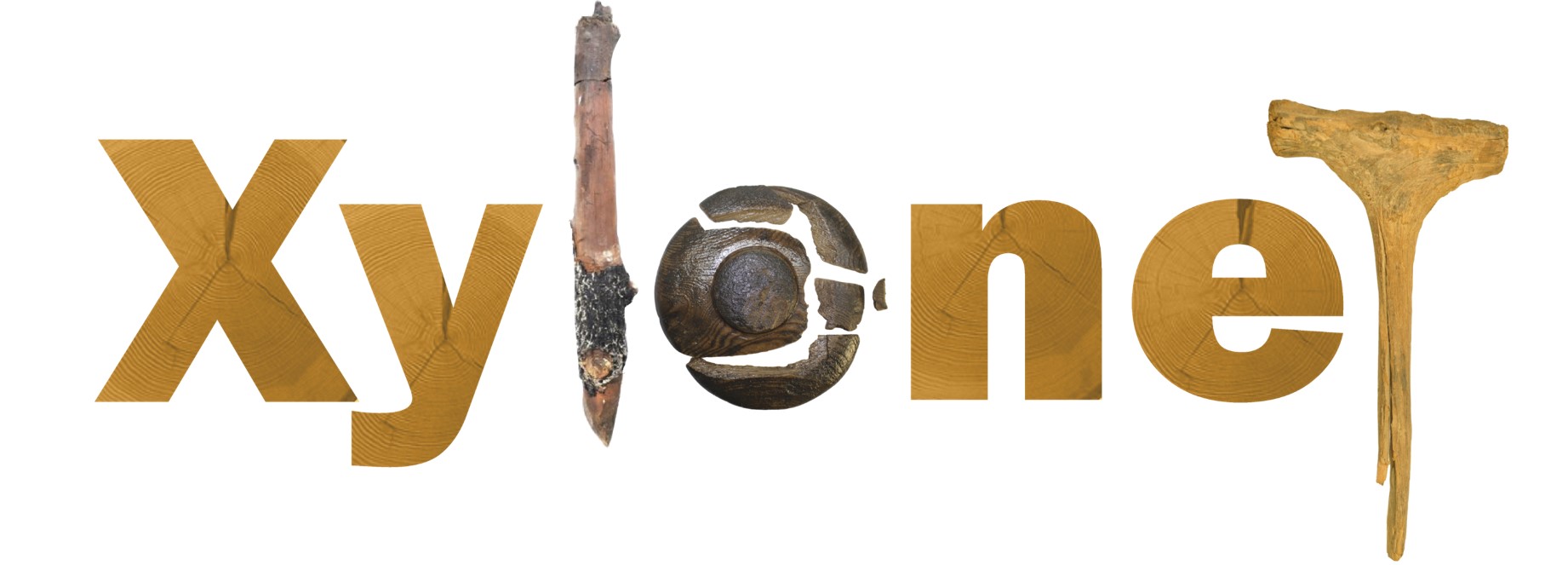 Logo del projecte