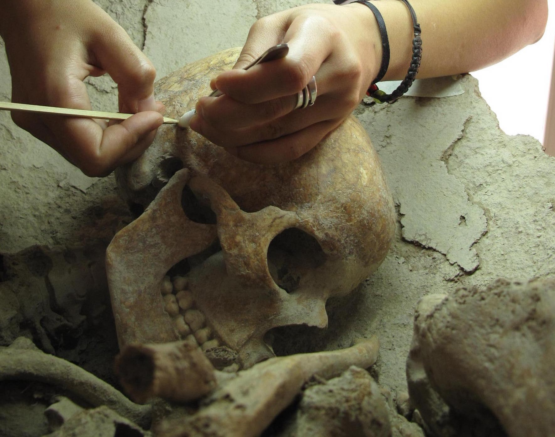 Màster Oficial en Arqueologia Prehistòrica