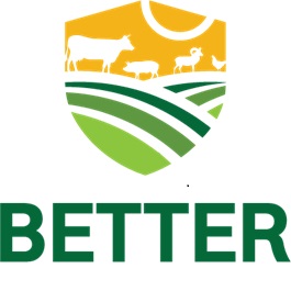 Logo de BETTER