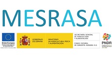 MESRASA