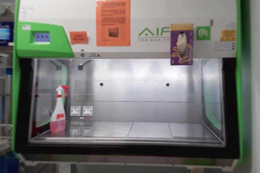 Fotografia d'una cabina de seguretat biològica del Servei d'Estabulari.