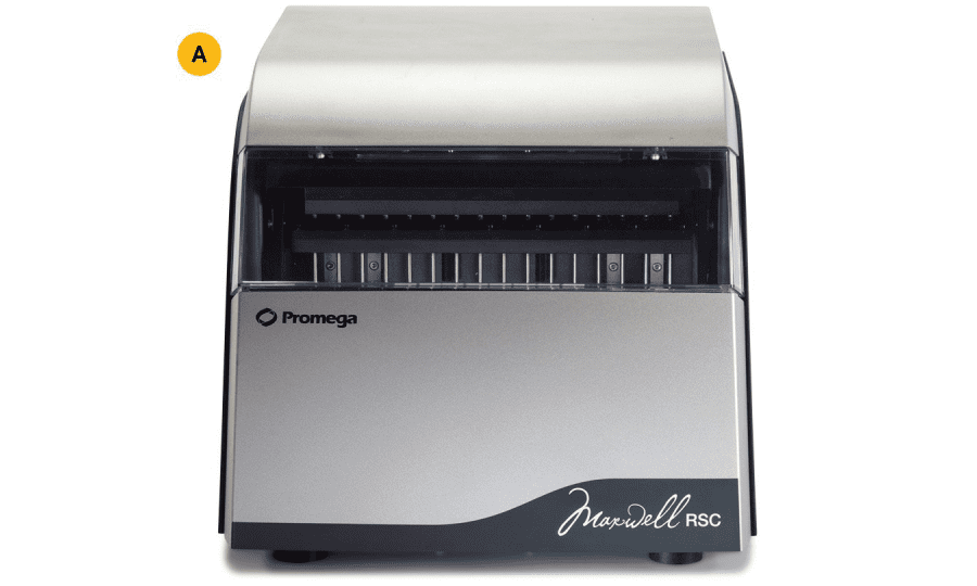 Maxwell RSC Promega