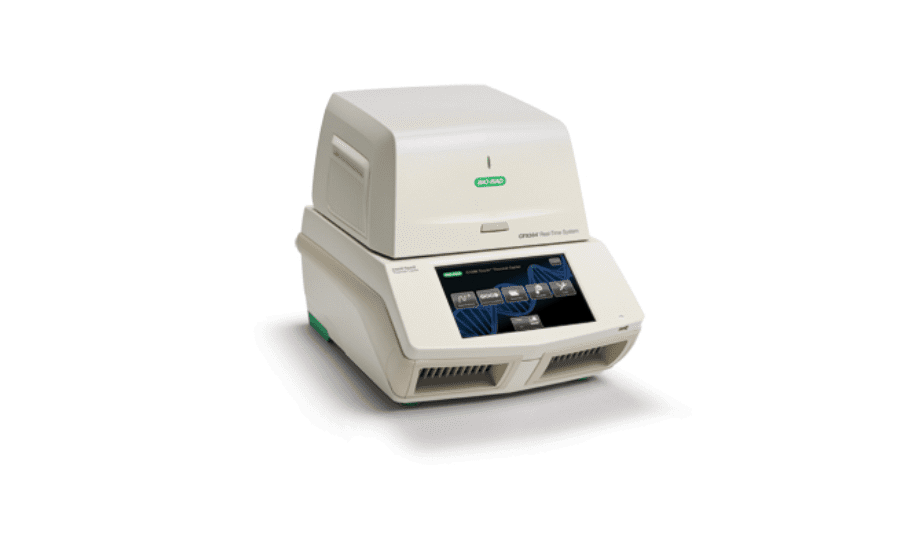Quantitative PCR