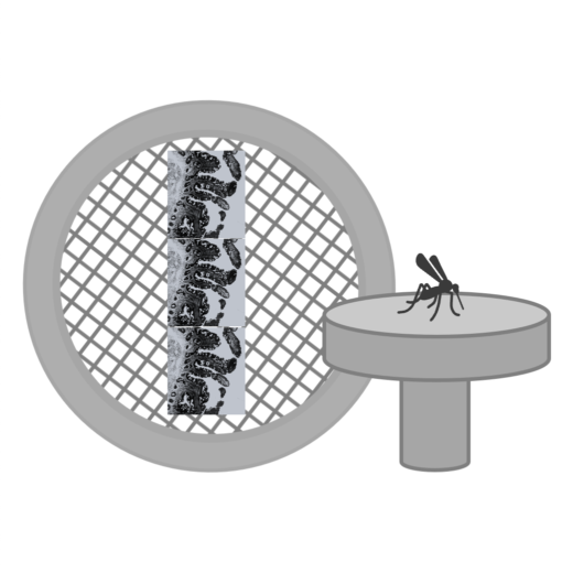 Logo SP