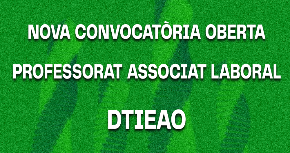Convocatòria oberta de professorat associat laboral - DTIEAO