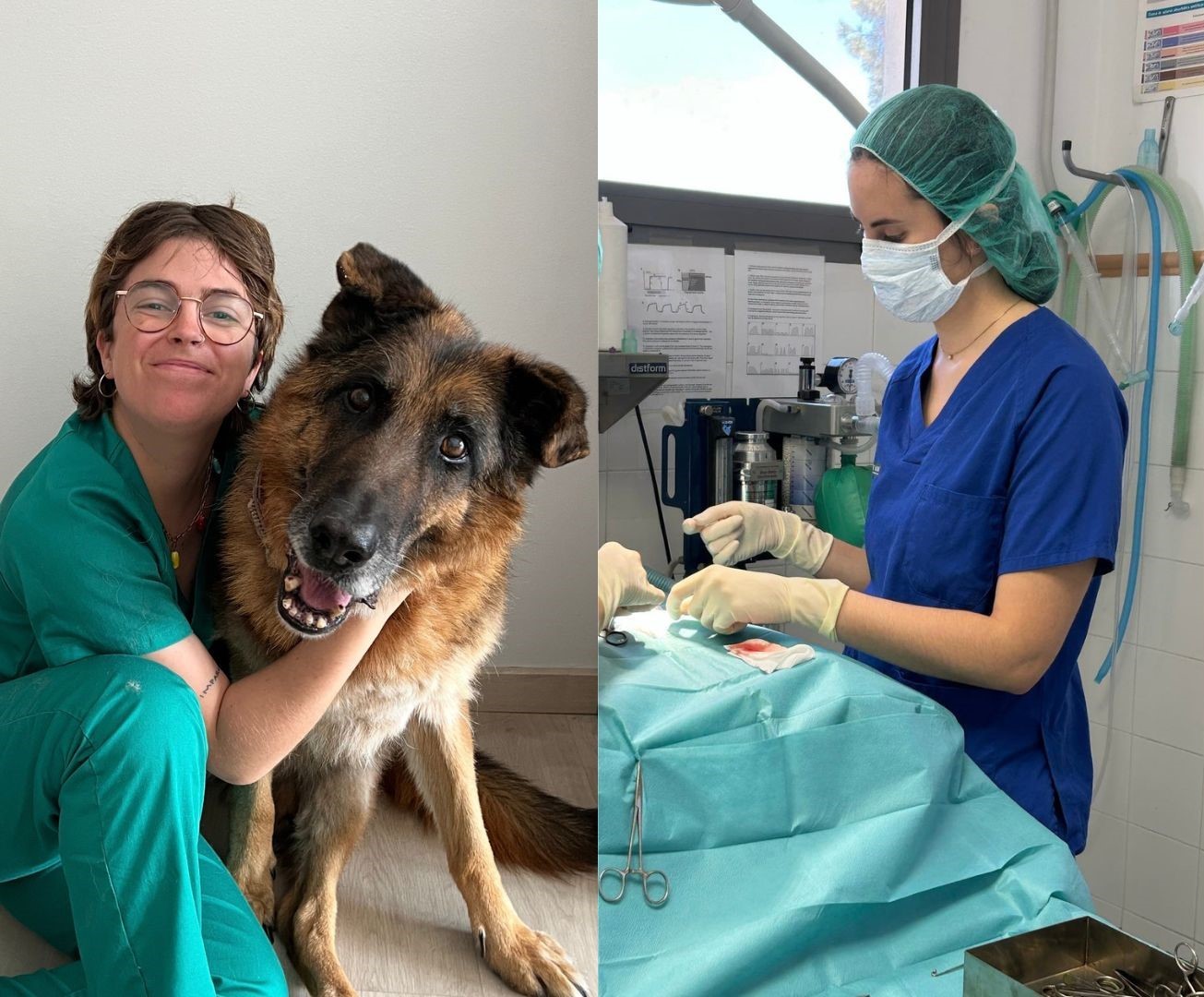 Beques Animal Health