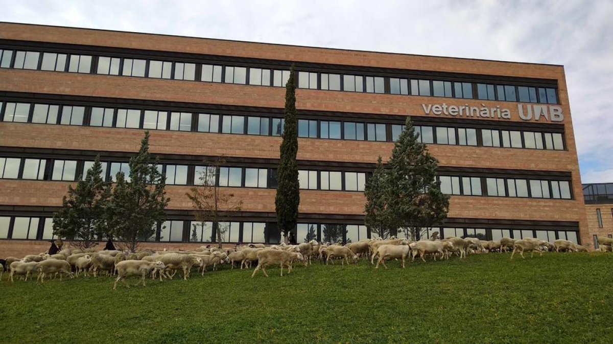 edifici de la Facultat de Veterinària