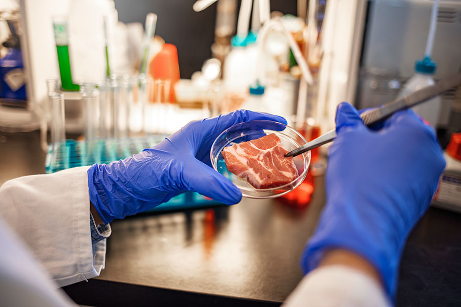 Mans d'un expert alimentari inspeccionant un tros de carn