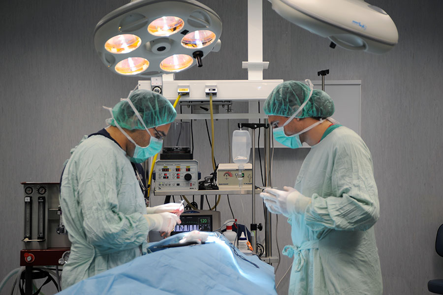 Professor i alumne en un quiròfan veterinari