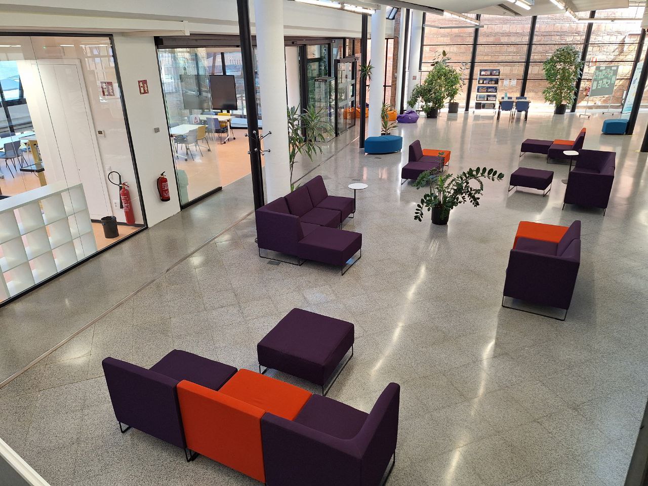 reobertura biblioteca