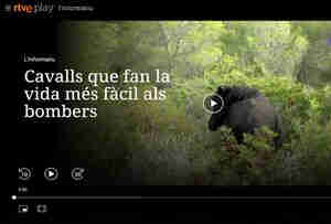 Image from the RTVE website with Jordi Bartolomé 's interview