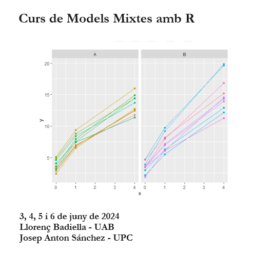Mixed Models course with R