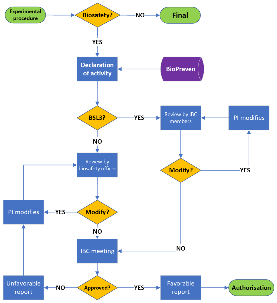 risk assessment presentation flowchart at the IBC