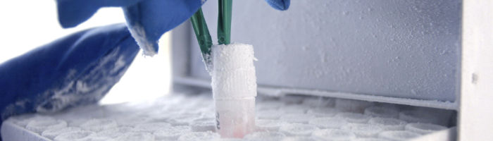 storage of biological material