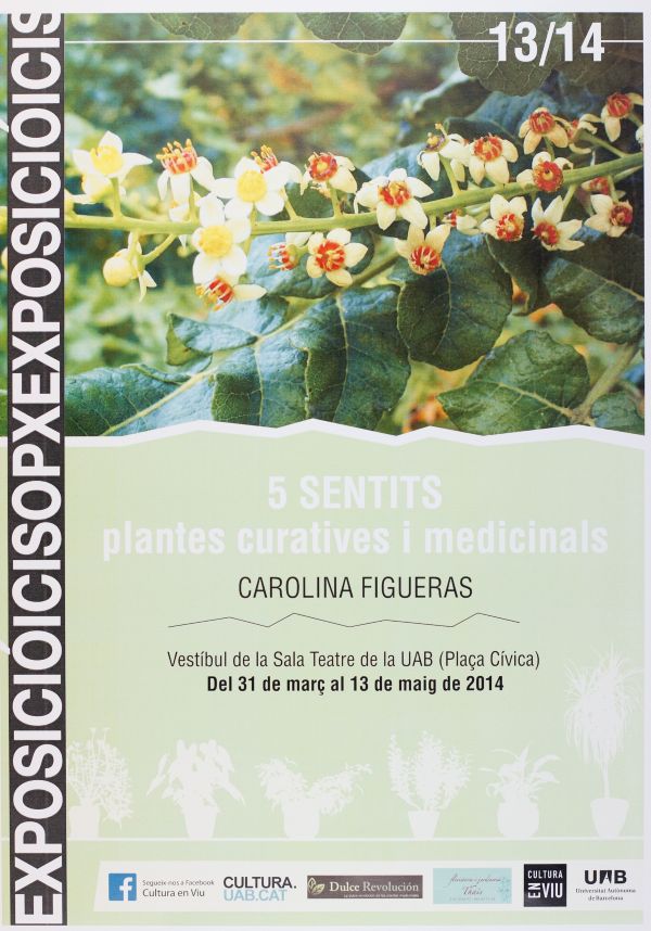 Enlarge the image 5 SENSES. Healing and Medicinal Plants by Carolina Figueras