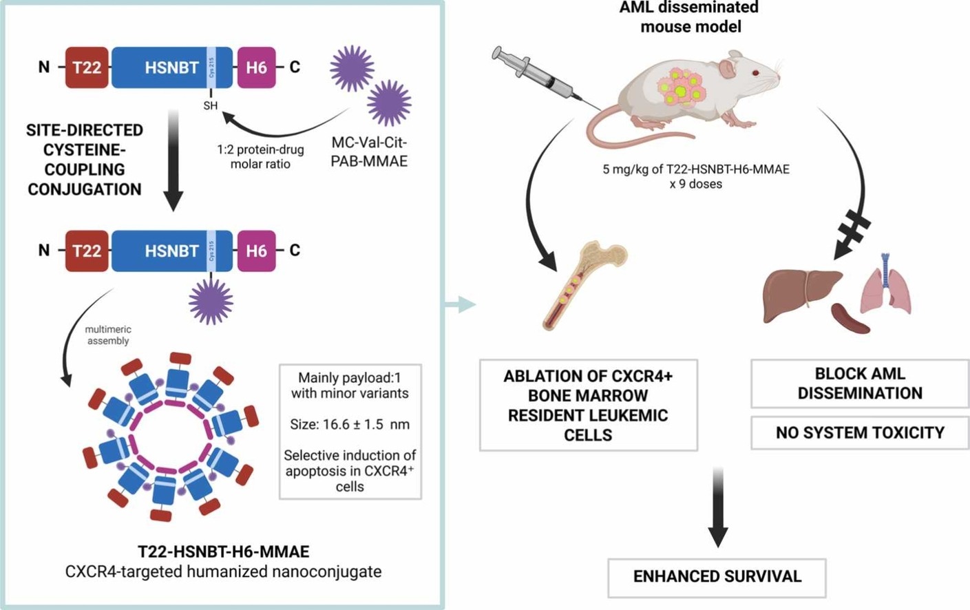 Graphical abstract