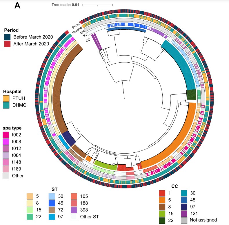 Phylogenetic relationship and population structure of 1,144 SAB genomes from PTUH and DHMC isolated between 2014 and 2022