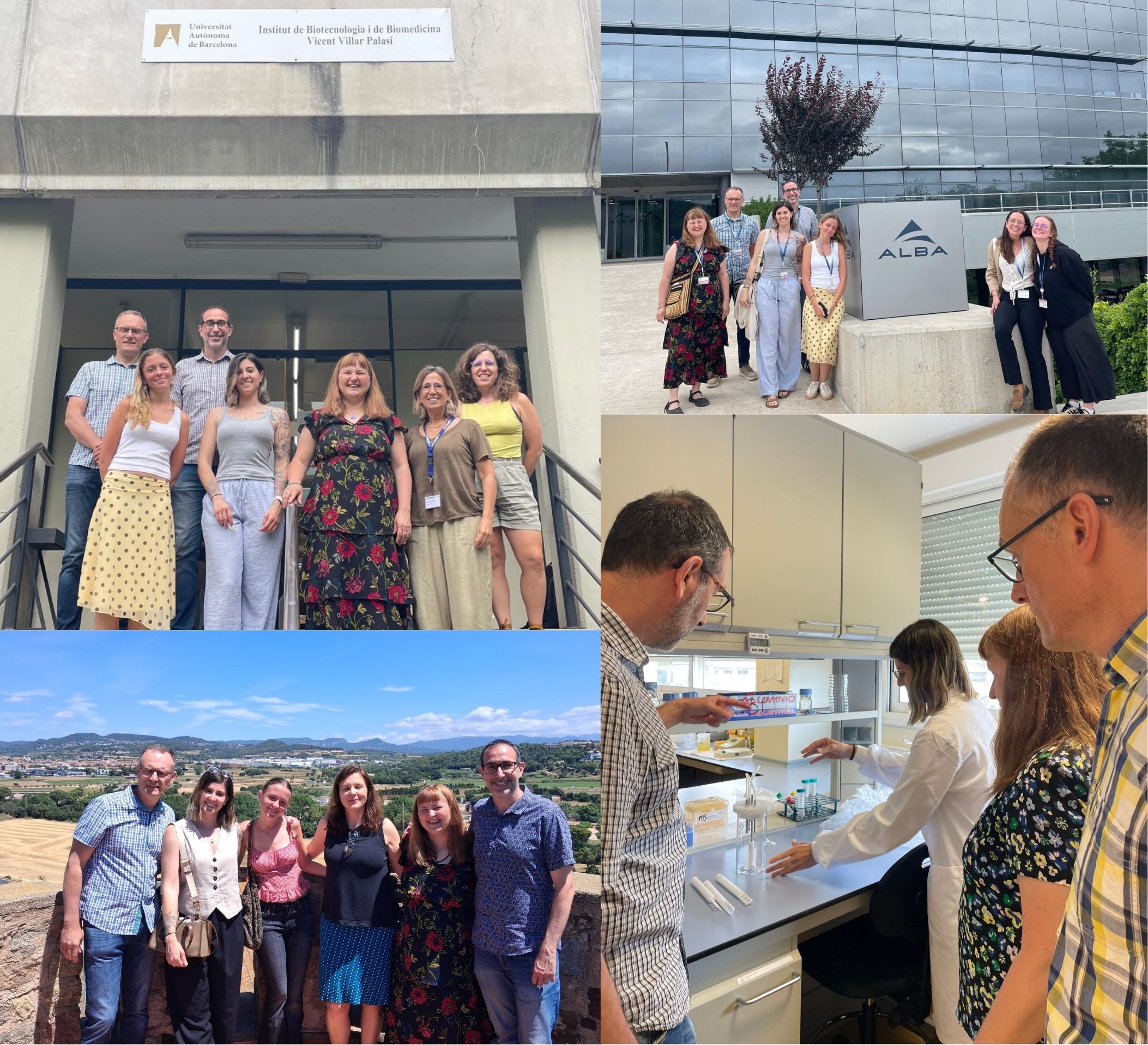 Picture collage from the visiting researchers participating in some of the activities during the visit