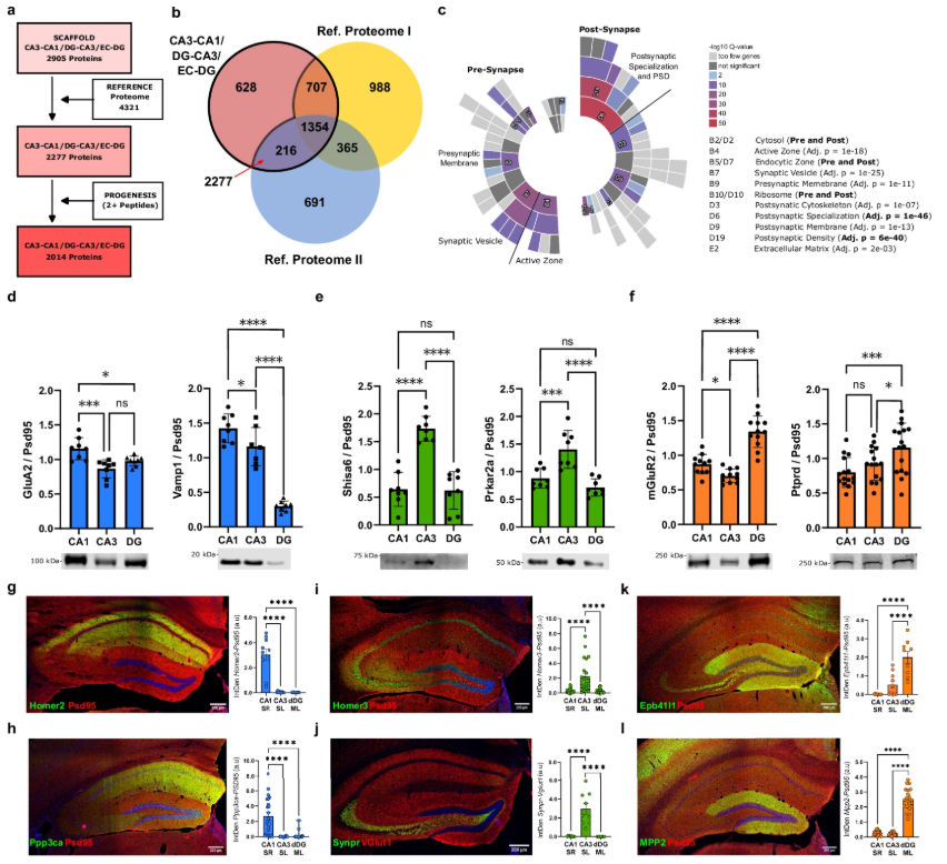 Proteomics analysis