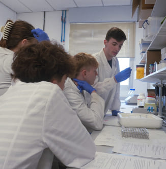 Enlarge the image IG_MD_BYISC_2 (en)