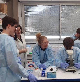 Enlarge the image IG_MD_Escolab1 (en)