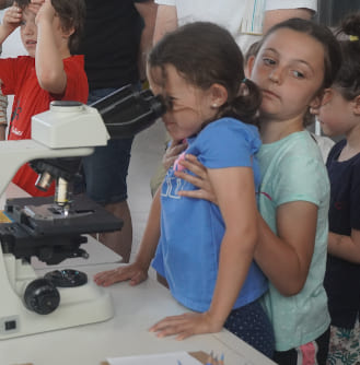 Enlarge the image IG_MD_FCiencia (en)