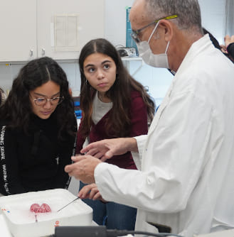 Enlarge the image IG_MD_PortesObertes_1 (en)