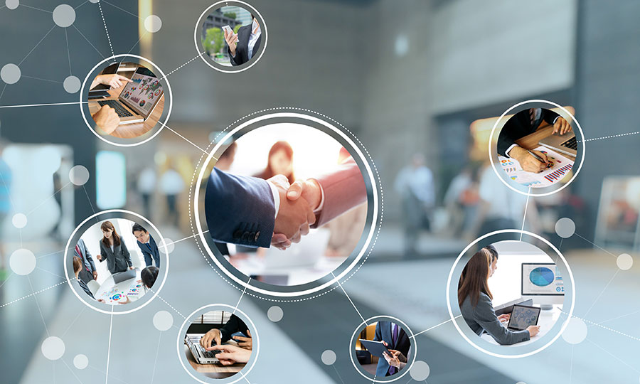 Bachelor's degree in Bussiness Administration + Law