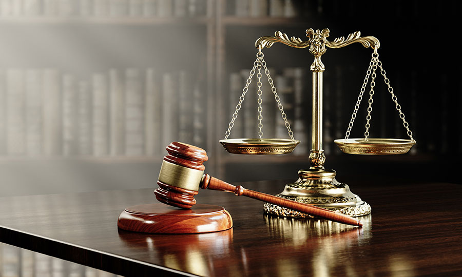 Bachelor's degree in Law