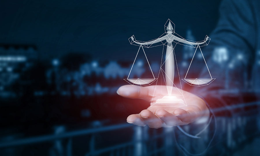 University Mater's Degree in Enterprise Law