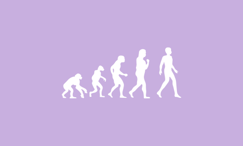 Anthropology Icon