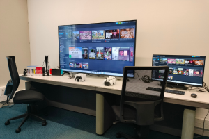 Photograph of the Video Games Service